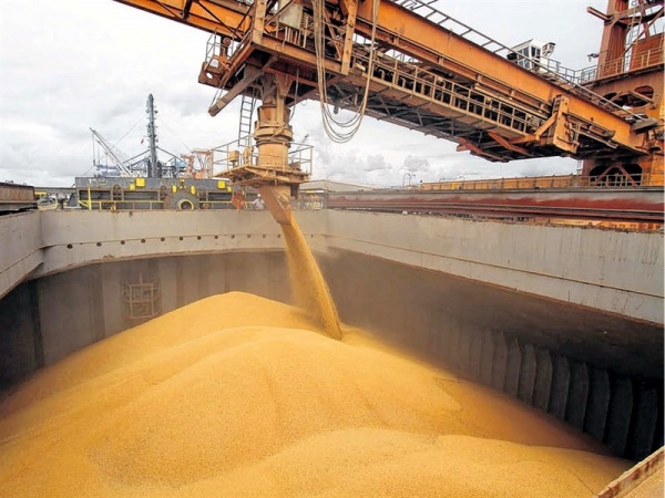 Puertos del Gran Rosario exportan el 82% del maíz argentino