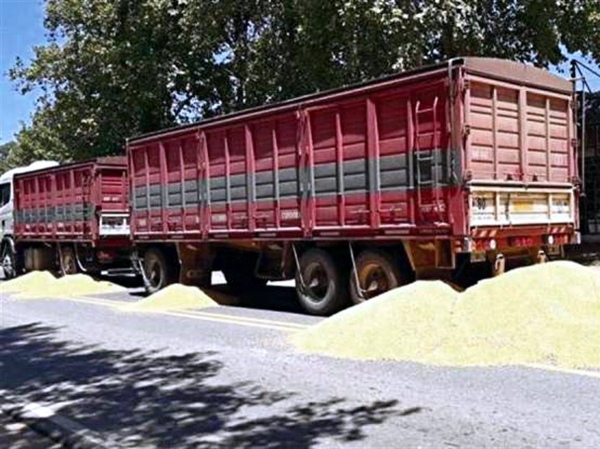 Paro de transportistas en Argentina impide carga de buques graneleros