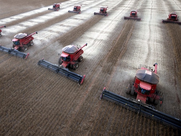 Sudamérica es líder en exportación de soja con el 32% del crushing mundial