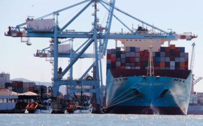 Puerto de Itajaí, Brasil: movilización de contenedores crece un 22% en el primer trimestre de 2020