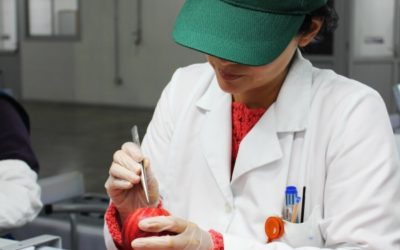 Chile y Estados Unidos inician certificación fitosanitaria sin papeles