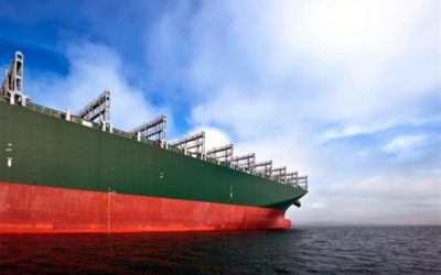 La flota ociosa de portacontenedores se reduce a medida que se reanudan servicios suspendidos