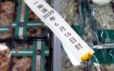 China cancela importación de camarones desde tres plantas de Ecuador por contaminación con …