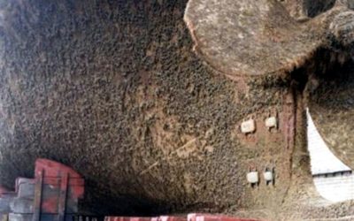Perú y Ecuador se unen al proyecto GloFouling Partnerships y abordan lucha contra …