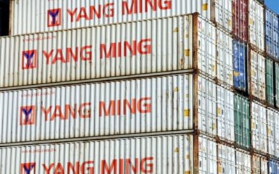 Yang Ming anunció que realizará una licitación para la venta de 9.090 contenedores usados