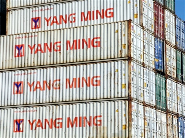 Yang Ming anunció que realizará una licitación para la venta de 9.090 contenedores usados