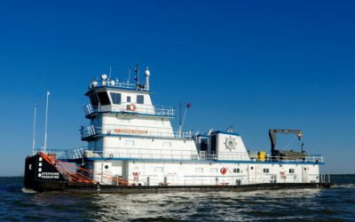 Riviera – News Content Hub – Owners bolster fleets with newbuilding deliveries – Riviera Maritime Media