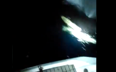 Orca Attacks on Sailboats Leave Scientists Baffled