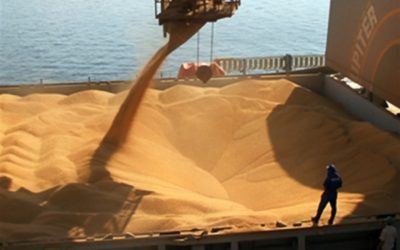 Argentina: Puertos de Rosario, Bahía Blanca y Quequén reciben el 64% de los granos movilizados