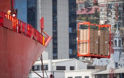 Puerto Valparaíso: TPS y TCVAL registran alzas de 5% y 14%, respectivamente, en movilización …