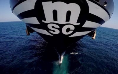 MSC marca hito al comprar 60 portacontenedores de segunda mano en solo diez meses