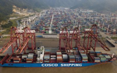 Puerto de Ningbo-Zhoushan reabre las operaciones de la terminal de contenedores de Meidong