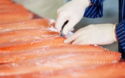 Comenzó a operar certificación electrónica para envíos de productos del mar desde Chile …