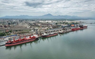 Puerto de Paranaguá concesionará dos nuevas terminales por más de US$342 millones en inversiones